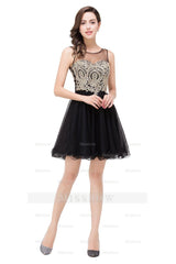 A-line Crew Short Sleeveless Appliques Prom Dresses