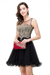 A-line Crew Short Sleeveless Appliques Prom Dresses