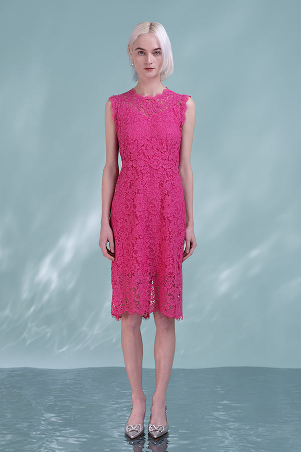 Beautiful Fuchsia Knee Length Lace Sleeveless Dress