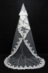 Beautiful Lace Applique Tulle Edge Wedding Veils