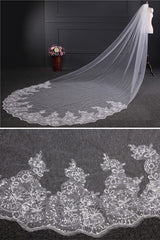 Cathedral Luxury Princess Tulle Lace Sequin Trim Edge 4*1.8M Wedding Veils with Sequined