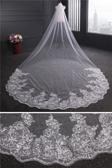 Cathedral Luxury Princess Tulle Lace Sequin Trim Edge 4*1.8M Wedding Veils with Sequined