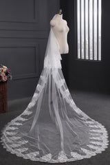Cathedral Tulle Scalloped Edge 3*1.5M Wedding Veils with Appliques