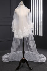 Cathedral Tulle Scalloped Edge 3*1.5M Wedding Veils with Appliques