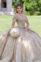 Champagne Off-the-Shoulder Sleeveless Beaded Applique Ball Gown Quinceanera Dress
