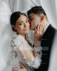 Charming White Ball Gown V-Neck Long Sleeves Cathedral Train Lace Wedding Dresses With Appliques