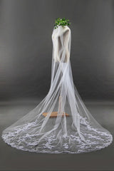 Elegant Cathedral Tulle Scalloped Edge 3*1.8M Wedding Veils with Appliques