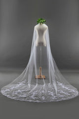 Elegant Cathedral Tulle Scalloped Edge 3*1.8M Wedding Veils with Appliques