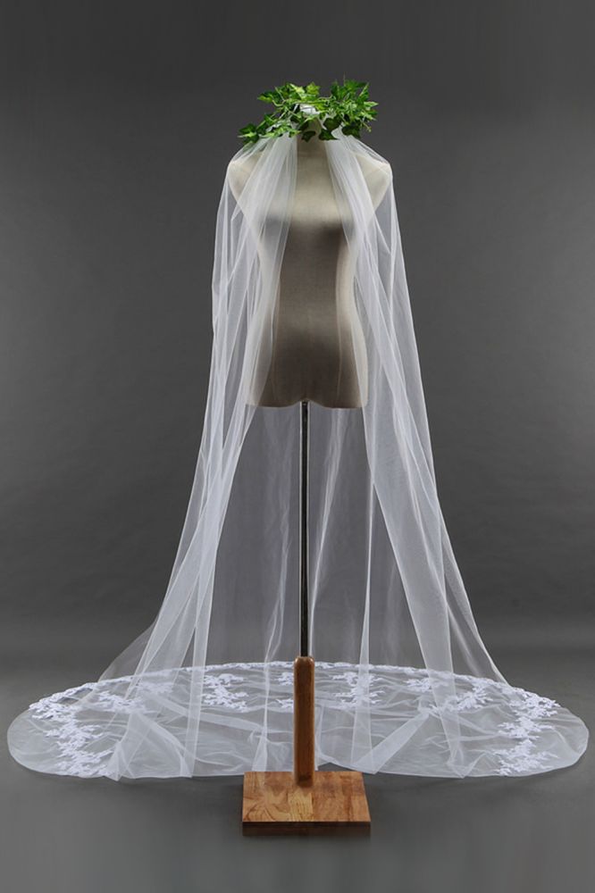 Elegant Cathedral Tulle Scalloped Edge 3*1.8M Wedding Veils with Appliques