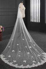 Elegant Lace Applique Edge Wedding Veils with Appliques