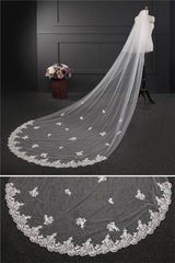 Elegant Lace Applique Edge Wedding Veils with Appliques