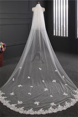 Elegant Lace Applique Edge Wedding Veils with Appliques