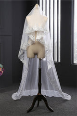 Elegant Tulle Lace Scalloped Edge 3*1.5M Wedding Veils with Appliques