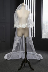Elegant Tulle lace Applique Edge 3*1.5M Wedding Veils