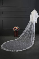 Elegant Tulle lace Applique Edge 3*1.5M Wedding Veils