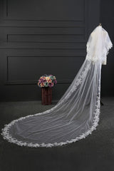 Elegant Tulle lace Applique Edge 3*1.5M Wedding Veils