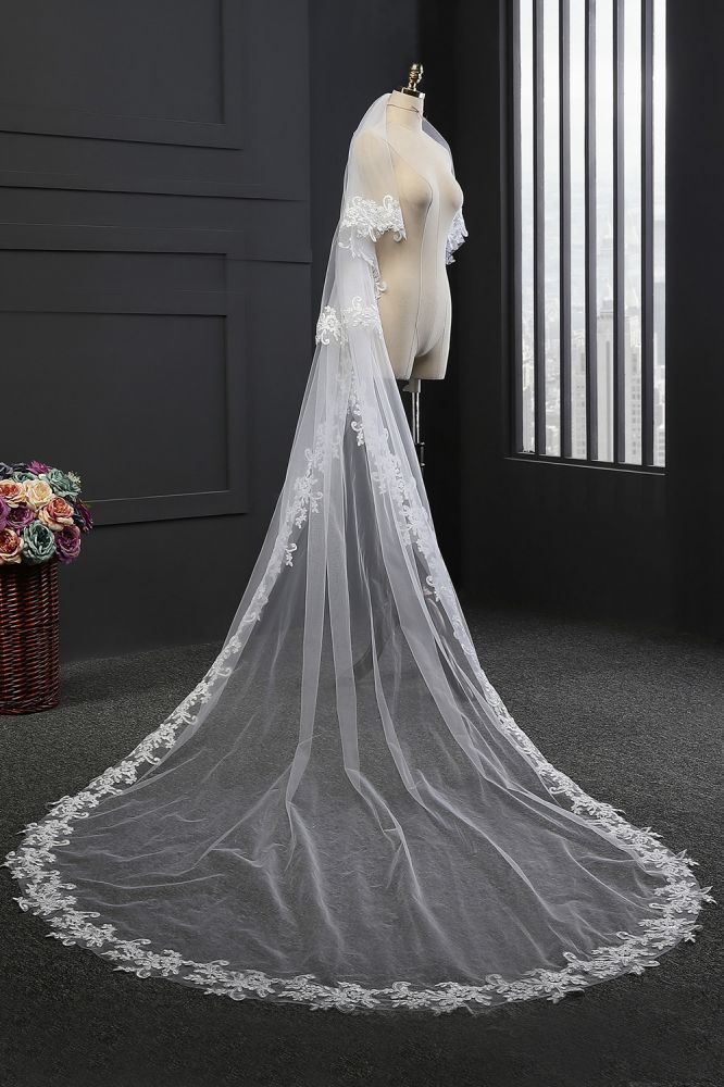 Elegant Tulle lace Applique Edge 3*1.5M Wedding Veils