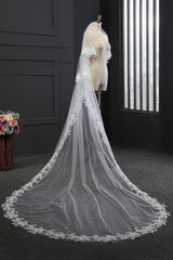 Elegant Tulle lace Applique Edge 3*1.5M Wedding Veils