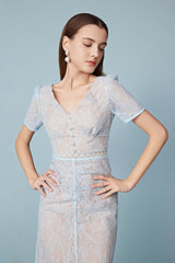 Fashion Blue V-neck Short Sleeves Sheath Lace Dresses