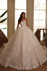 Champagne sweetheart applique ball gown wedding dress