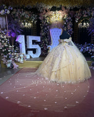 Misshow Champagne Ball Gown Off-Shoulder Sleeveless Tulle Dress with Beaded 3D Floral Appliques for Quinceanera Sweet 16 & Evening Galas