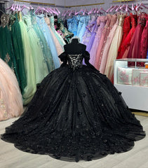 Misshow Exquisite Black Tulle Ball Gown Off-Shoulder Sweetheart Neckline with Floral Appliques for Quinceanera & Evening Galas