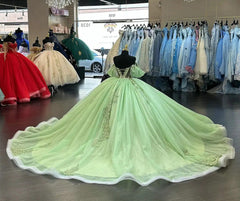 Misshow Exquisite Sage Green Ball Gown Off-Shoulder Sequined Lace Princess Dress for Quinceanera & Sweet 16