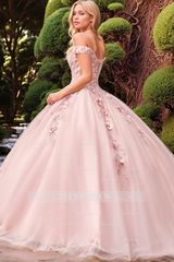 Misshow Off-Shoulder Ball Gown with 3D Floral Appliques & Beaded Lace-Up Detail Pink Tulle Quinceanera Dress for Sweet 16 & Birthday Celebrations