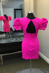 Misshow Simple Fuchsia V-Neck Short Sleeves Tight Short Homecoming Dress/Mini Dress