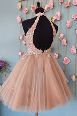 Misshow Sparkly Blush A-Line Short Tulle Homecoming Dress/Mini Dress with Lace