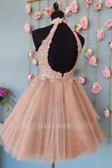 Misshow Sparkly Blush A-Line Short Tulle Homecoming Dress/Mini Dress with Lace