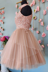 Misshow Sparkly Blush A-Line Short Tulle Homecoming Dress/Mini Dress with Lace