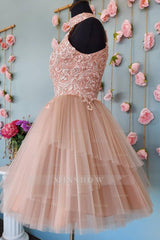 Misshow Sparkly Blush A-Line Short Tulle Homecoming Dress/Mini Dress with Lace
