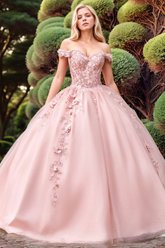 Pink Off-the-Shoulder Sleeveless 3D Floral Applique Beaded Ball Gown Quinceanera Dress