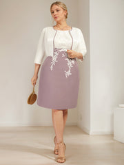 Plus Size Knee-Length Mother of the Bride A-Line Dress with V-Neck and Lace Appliques