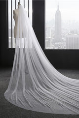 Princess Cute Lace Cut Edge 1.5*3M Wedding Veils with Appliques