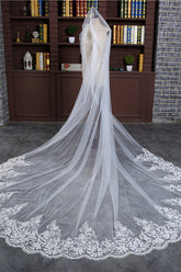 Princess Cute Lace Wedding Veils with Appliques