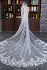 Princess Cute Lace Wedding Veils with Appliques
