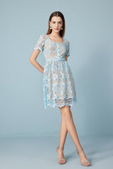 Short Blue Lace A-line Dress with Short Sleeves