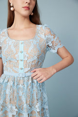 Short Blue Lace A-line Dress with Short Sleeves