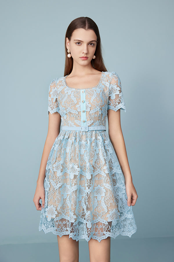 Short Blue Lace A-line Dress with Short Sleeves