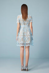 Short Blue Lace A-line Dress with Short Sleeves