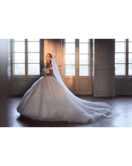 Stunning White Sweetheart Ball Gown Off-The-Shoulder Sleeveless Lace-Up Cathedral Train Tulle Wedding Dresses