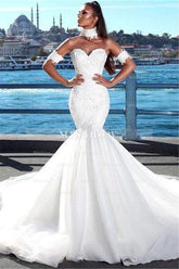 Beautiful Mermaid Sweetheart Beautiful Wedding Dress Lace Dresses for Weddings with Choker