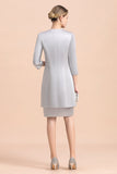 Elegant Silve Short Mother Of the Bride Dress Knee-Length Wedding Party Gowns-misshow.com