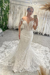 Fabulous Floor Length V-Neck Long Sleeves Mermaid Lace Wedding Dress with Chapel Train