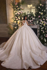 Luxurious A-line Princess Lace Sleeveless Ball Gown Wedding Dress