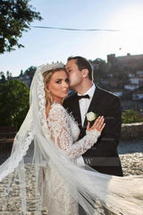 Noble vneck longsleeves mermaid lace Wedding dresses