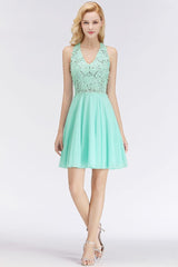 Short Lace A-Line V-Neck Sleeveless Birdesmaid Dress