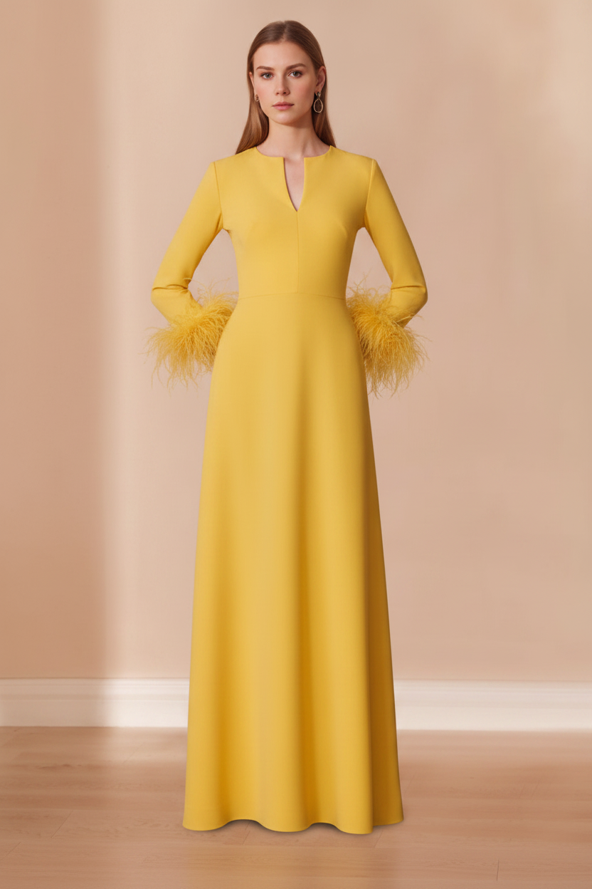A-Line/Princess V-Neck Long Sleeves Floor-Length Mother of the Bride Dresses with Feathers